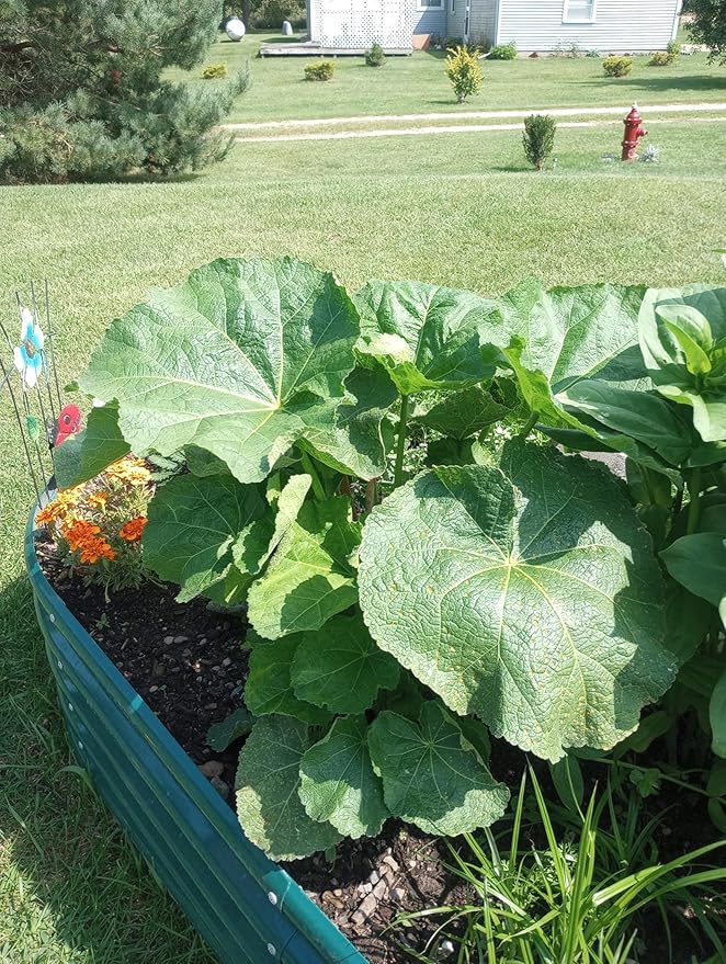 2 Pack 8x4x1FT Galvanized Raised Garden Bed Kit Oval Metal Ground Planter Box Outdoor Bottomless Planter Raised Beds for Vegetables Flowers Herbs Fruits, Green-CasaMuseHome