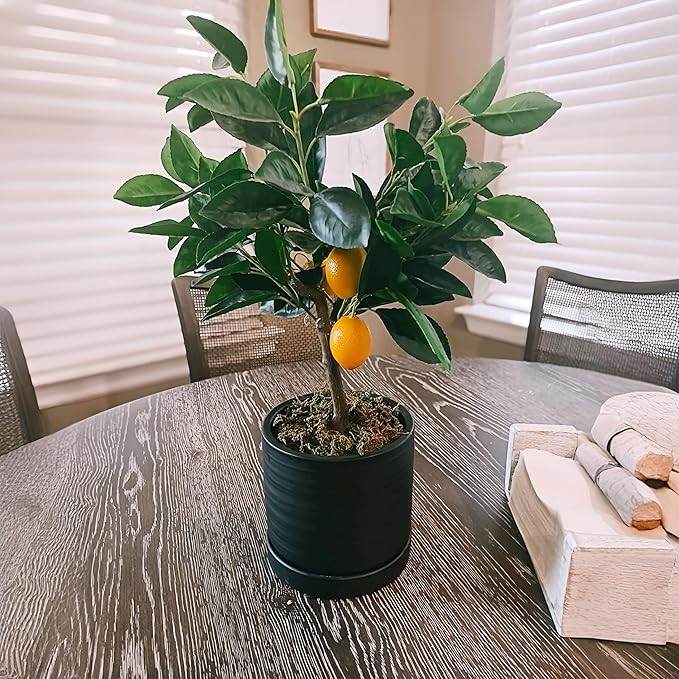 6 Inch Plant Pots, Ceramic Planter Pot with Drainage Hole & Saucer, Indoor/Outdoor Cylinder Round Planter Pot, Matte Black-CasaMuseHome