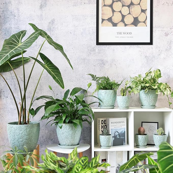 8 Inch + 6 Inch Plant Pots for Indoor Plants, Ceramic Planter with Drainage Hole and Saucers, Garden Pots for Succulent, Orchid, and Flower, Set of 2-CasaMuseHome