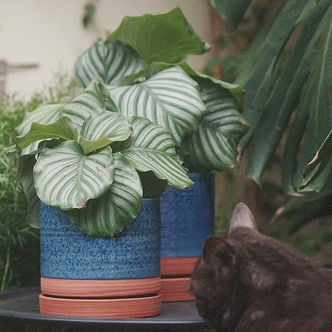 6 + 8 Inch Plant Pots, Ceramic Planter Pot with Drainage Hole & Saucer, Indoor/Outdoor Cylinder Round Planter Pot, Aqua Blue & Terracotta-CasaMuseHome